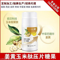 保健食品生产厂家 聚焦功能性食品加工的机遇与挑战